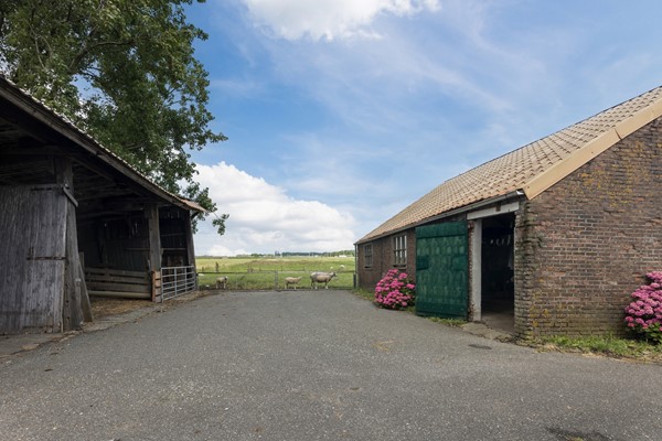 Medium property photo - Zuidbuurt 47, 3141 EN Maassluis